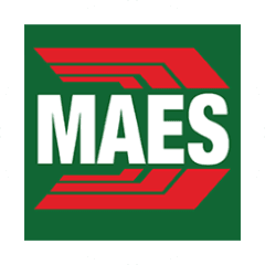 Logo Maes